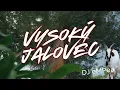 Download Lagu Vysoký Jalovec (remix 2025 DJ eMPea) #remix #edmforever #vysokyjalovec #music