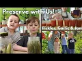 Download Lagu This Week on the Homestead: The Easiest Pickles, Garlic \u0026 GooseCherry Jam