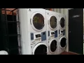 Daily Bubble Laundry