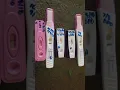 Pregnancy Test Line Progression with Dollar cheapie tests