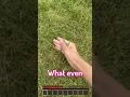 Most REALISTIC texture pack in Minecraft