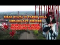 MERINDING! KISAH NYATA "PENGALAMAN HOROR MAHASISWA MAGANG" DI PABRIK GULA SINDANG LAUT CIREBON