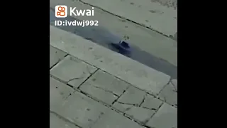 ياعيني ده اتصدم 