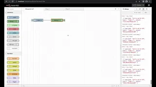 Inject and debug node - advanced Node-RED