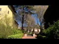 Careers in Wine - Business Management
