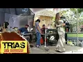 Download Lagu EVA AQUILLA MEMANDANGMU TRIAS MUSIC
