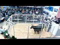 The Classic at Griswold Cattle Co Stillwater OK DAY ONE