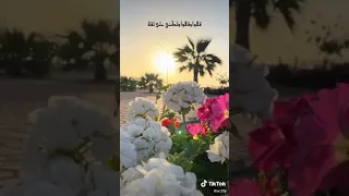 عبدالله مهداوي قالوا وقالوا لكني علي ثقة انشودة روعة 