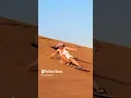 Download Lagu Viral video of the YouTube channel #saharadesert #love #music #desertadventures #viral #desert