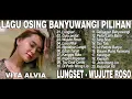 Lagu LUNGSET, GULU PEDOT, SING BISO - VITA ALVIA - FULL ALBUM TOP HITS LAGU OSING BANYUWANG PILIHAN