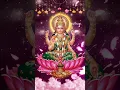 Download Lagu Friday Special Mahalakshmi Meditation Mantra to Attract Unlimited Wealth #mahalakshmi #lakshmi #puja