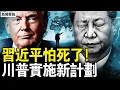 Lagu 美國連施重手，大小流氓都變了；打造國際新秩序，川普的藍圖計劃；習近平真的怕了，北京實施最嚴令；引渡共謀夥伴，陳志命不久？【新聞看點 李沐陽1.8】