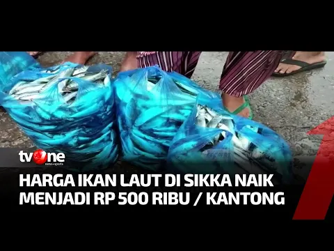 Cuaca Buruk Memicu Harga Ikan Melonjak hingga 100%
