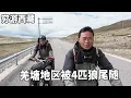 Download Lagu 穷游兄弟自行车骑行西藏，在羌塘地区被4匹狼尾随，赶紧找个带门的废弃房屋过夜【云游兄弟】