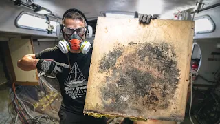 Discovering MORE ISSUES | Step 352