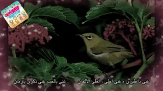 غني يا طيري  غني يا طيري