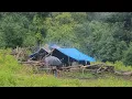 Download Lagu This Is Beat Nepali Shepherd Life During The Rain || Daily Activity In Nepali Mountain Village ||
