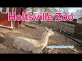 KIDS GET EXCITED FOR ANIMALS LAMA 4K U ERETZ TRAVEL HOLTSVILLE ZOO