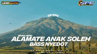 Download DJ ALAMATE ANAK SOLEH GAMELAN TRAP SLOW BASS  HOREGG || SYAHDU  || DJ TERBARU 2023  !! MP3