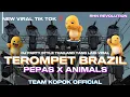 Download Lagu DJ TRUMPET BRAZIL X PEPAS ‼️ STYLE PARTY X THAILAND YANG LAGI VIRAL DI TIK TOK
