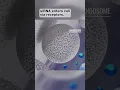 Download Lagu Journey into the cell: siRNA is internalized through receptor-mediated entry.