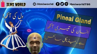 Download Pineal Gland Third Eye, Teesri Ankh , 3rd Eye| Chakra, |تیسری آنکھ | Urdu | Hindi | ILMI WORLD MP3