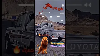 رد مزلزل علا ورع ذمار من ابن اليمن الشاعر رضوان الفقيه 