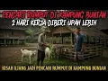 Download Lagu PENCARI RUMPUT DI KAMPUNG BUNIAN DIBERI UPAH SESUATU - cerita mistis - cerita horor