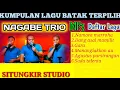 Download Lagu Lagu Batak Namora Marroha #nagabetrio #dangasalmamilit