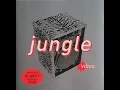 Download Lagu DJ Gilb'R – Jungle Vibes (1994)