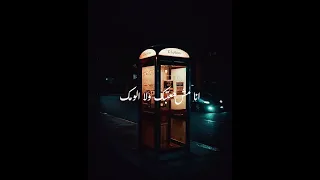 انا مش هعتبك ولا الومك فيلو Felo 