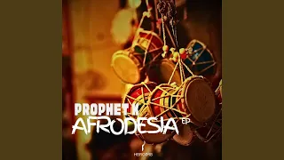 kalahari dance main tribute carbon voltage 