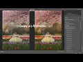 Lindsey Lee s Ai Presets in use