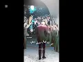يلوموني بحبها هلي...علي جاسم 🦅🖤