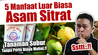 MENYESAL BARU TAU.❗❗❗ 5 MANFAAT LUAR BIASA ASAM SITRAT | Agar Tanaman Subur Tanpa Perlu Boros Biaya