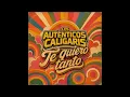 Los Auténticos Decadentes & Los Caligaris - Te quiero tanto (AUDIO)