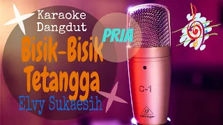 Download Karaoke Bisik-Bisik Tetangga: Elvy Sukaesih (Nada Pria) MP3