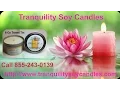 8 Oz Travel Tin Chanel No 5 Soy Candles