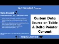 15 Custom Data Source on Table Delta Pointer Concept