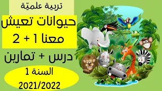 حيوانات تعيش معنا 1 2 ـ درس تمارين ـ تربية علمية ـ الس نة الأولى ابتدائي 2021 2022 