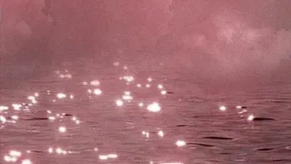 Vibe Cookie Kawaii Slowed Reverb 