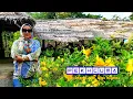 Download Lagu Pekhcuma (Mega Sulyana) Lagu Lampung Terbaru 2023