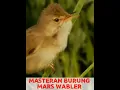 Download Lagu MASTERAN BURUNG  MARS WABLER  gacor ngerol nembak rapat