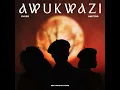 Awukwazi (feat. Dlala Thukzin) - Sykes, The Sisters & MK Productions