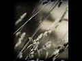 Doubts - Alex Somers & Sigur Ros