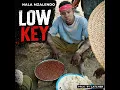 Lagu Nala Mzalendo_Low Key