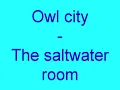 Owl city - the saltwater room [Ocean eyes version]
