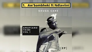 shuga cane ft jabu ndlaviini awbambheki