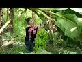 Download Lagu Alleenstaande moeder - Bananen oogsten en kinderen alleen opvoeden in de wildernis