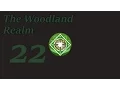 TATW Divide and Conquer Woodelves - 22 The End